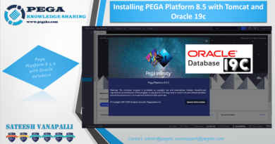 Install pega enterprise edition with oracle 19c database